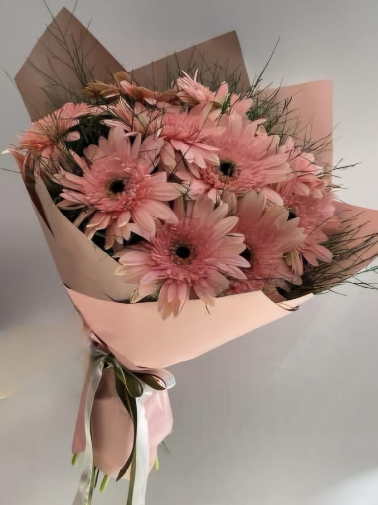 PEMBE GERBERA