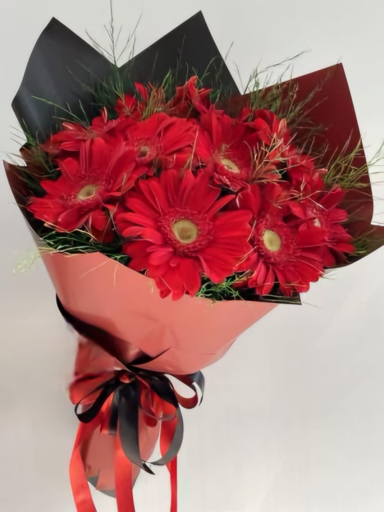 KIRMIZI GERBERA