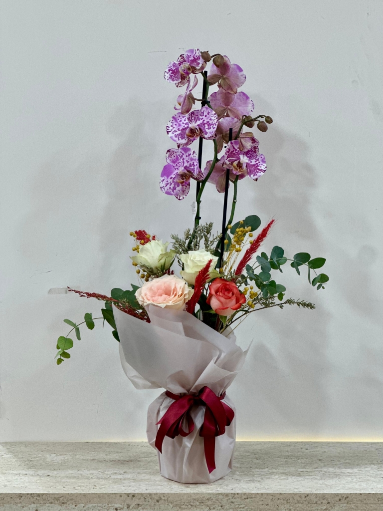 ORKİDE ARANJMAN