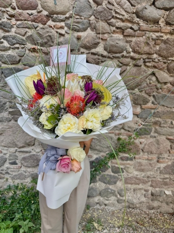 Protea Dreams